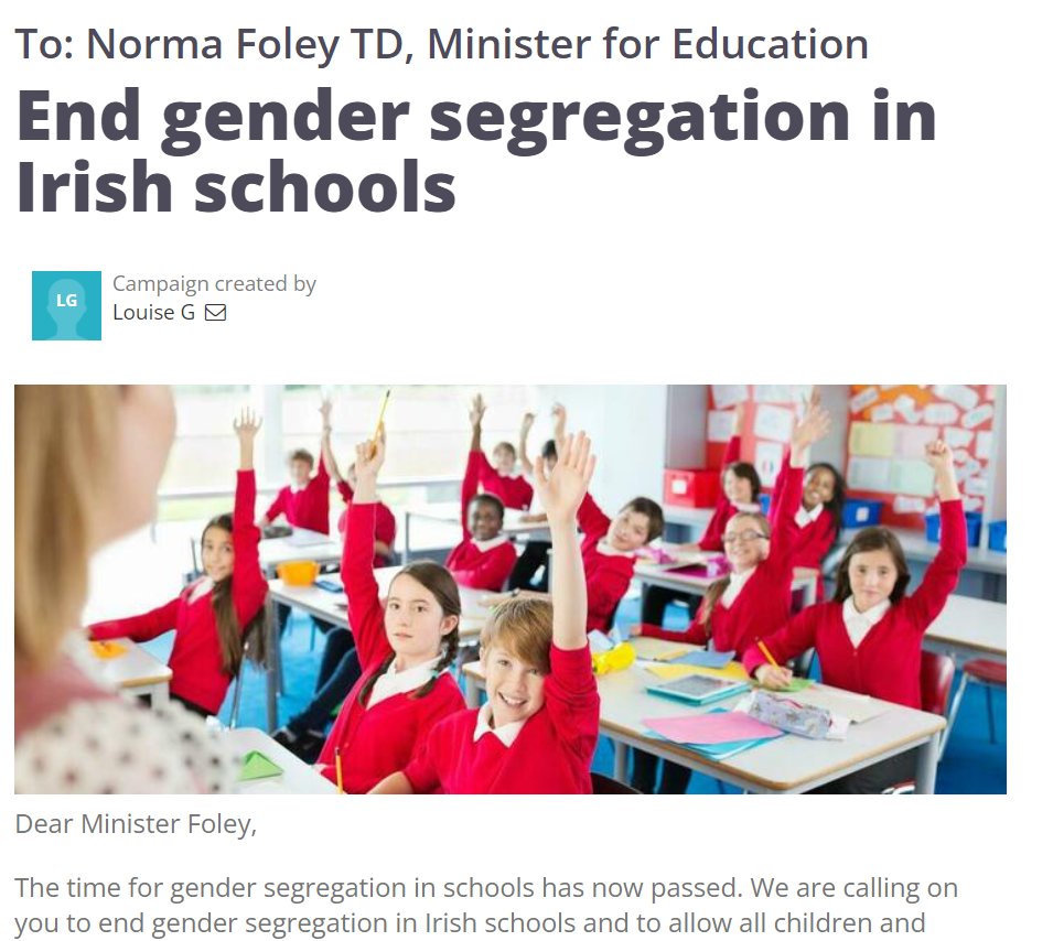A screenshot of the web page for the petition to end gender segregation in Irish schools