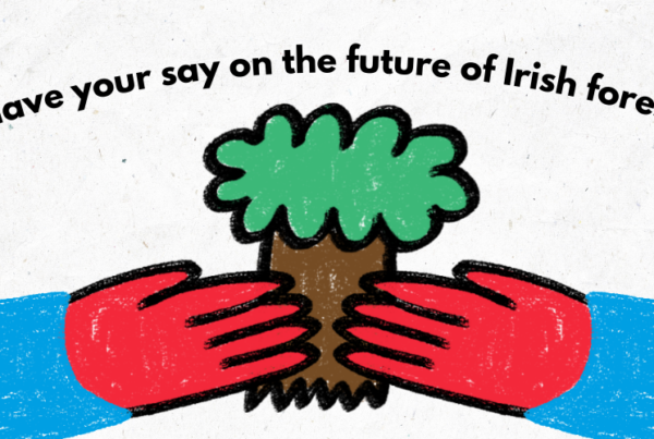 Text says 'Have your say on the future of Irish forests'. Below is a pair of hands holding a tree.