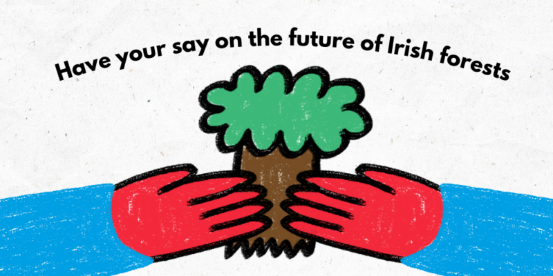 Text says 'Have your say on the future of Irish forests'. Below is a pair of hands holding a tree.