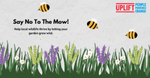 text: Say not to the Mow! image: overgrown lawn with bees