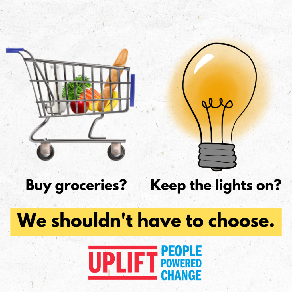 Image with shopping trolley and bulb with description: "Buy groceries? Keep the lights on? We shouldn't have to choose." 