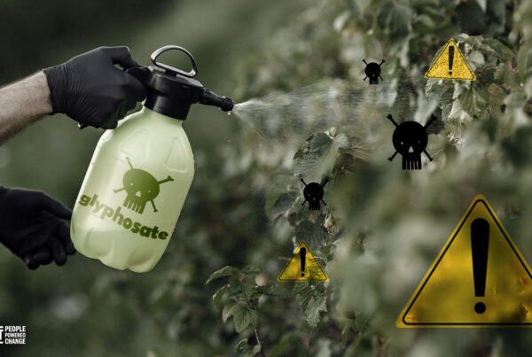 Person spraying vegetation with chemical spray. There are caution symbols and toxic symbols on the vegetation.
