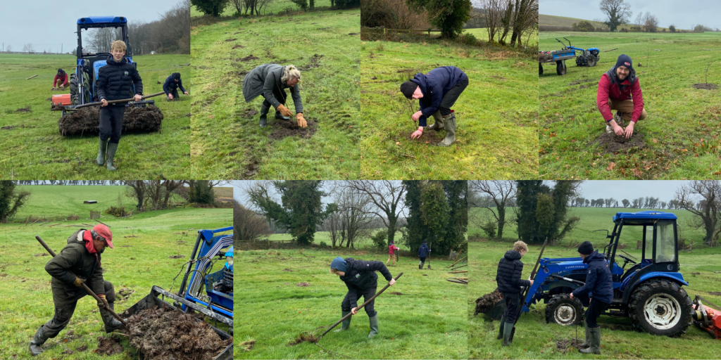 people planting trees in a field to build People-Powered Forest