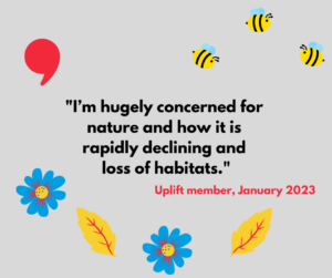 Image with bees, flowers and text from survey response: "I'm hugely concerned for nature and how it is rapidly declining and loss of habitats." 