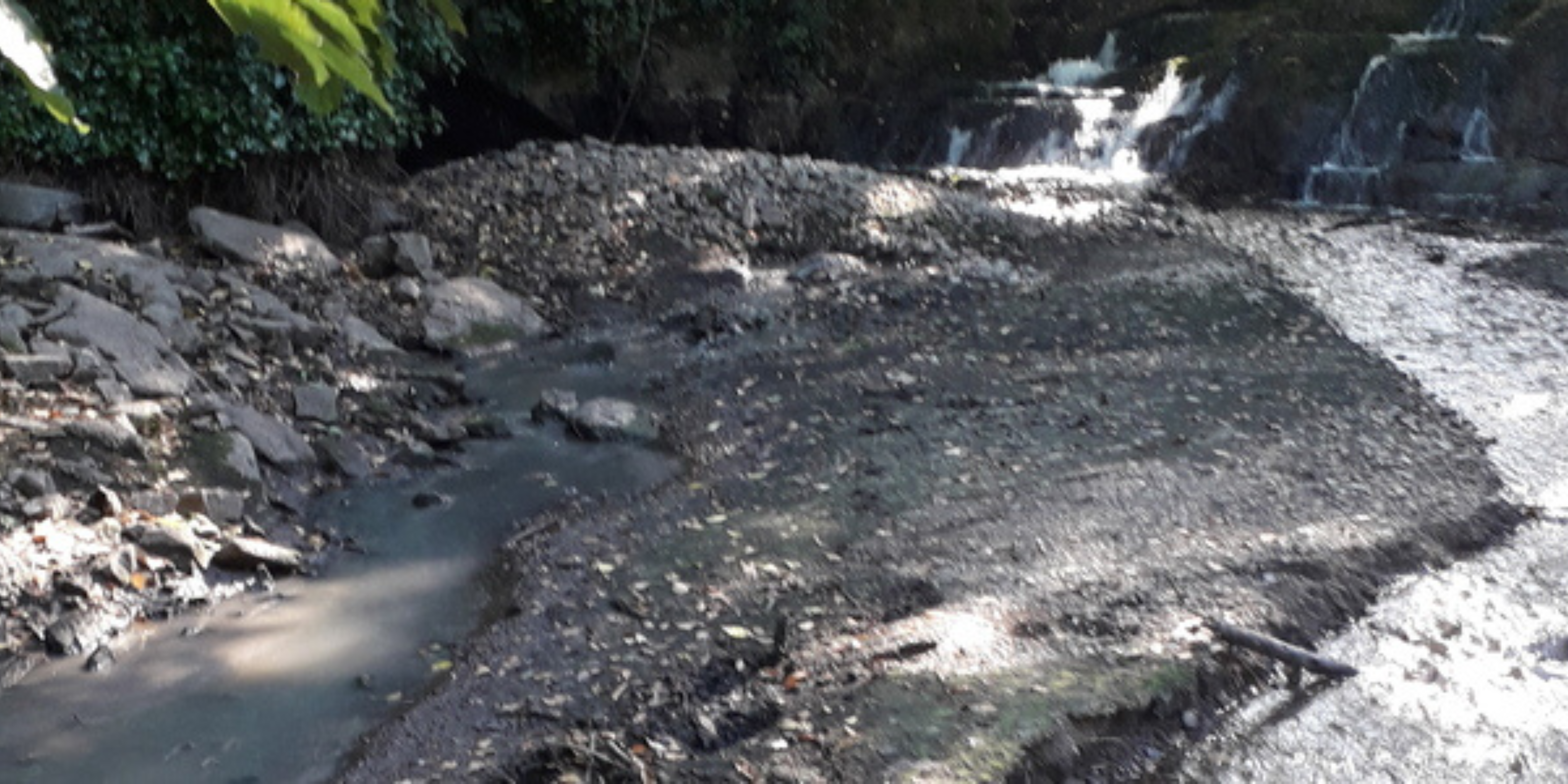 River Delvin