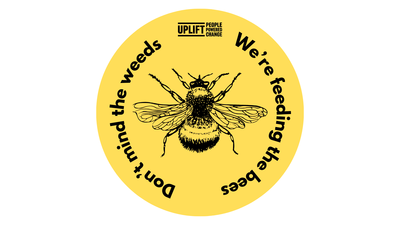 Don't mind the weeds, we're feeding the bees
